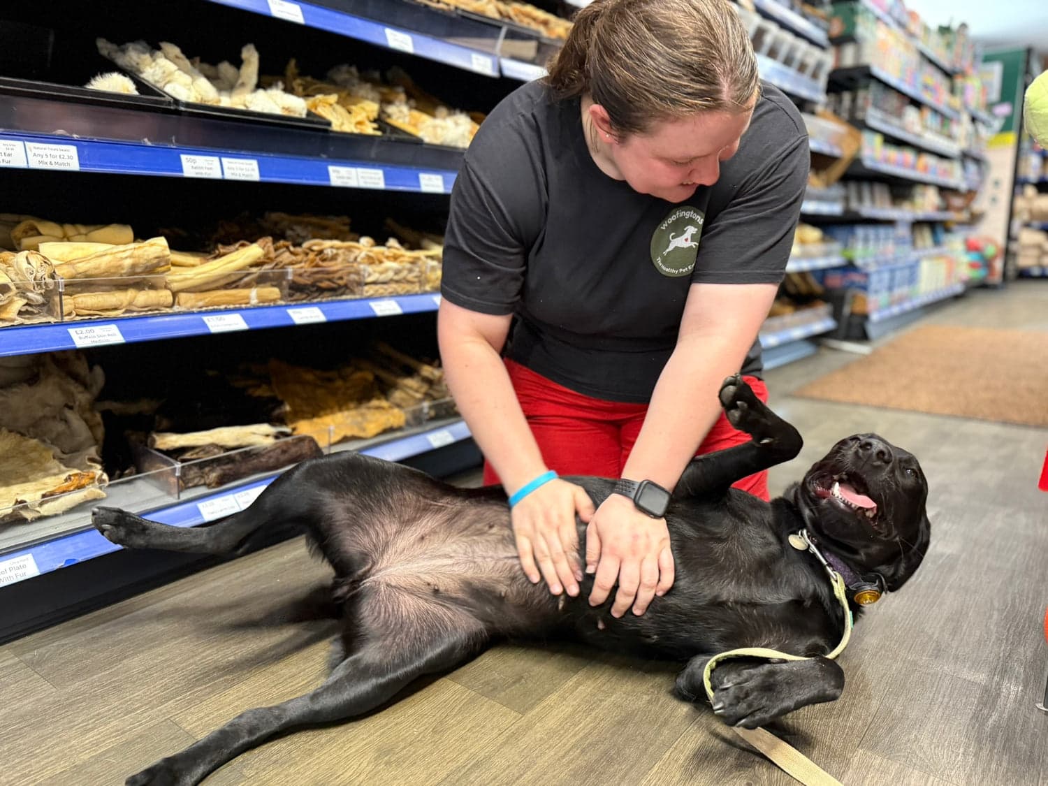 Woofingtons team member with dog in store