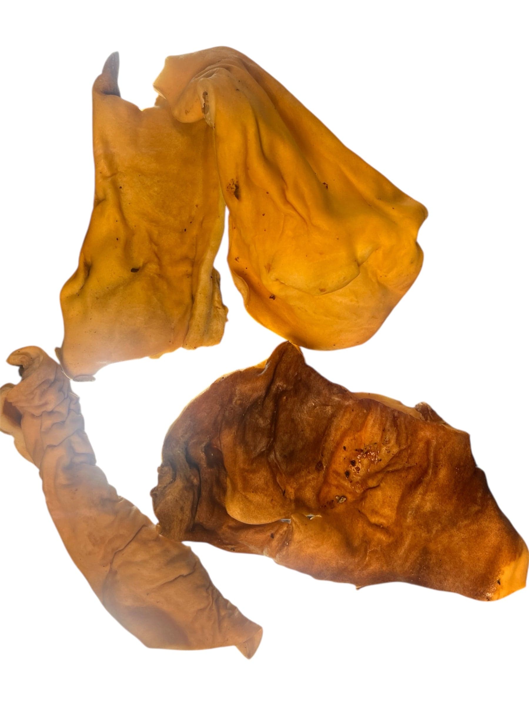 Pippers Pantry Beef Skin Plate - 5 Pieces